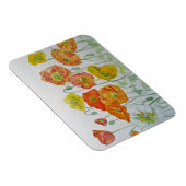 Orange red Poppies Watercolor Birthday Magnet (Rechte Seite)