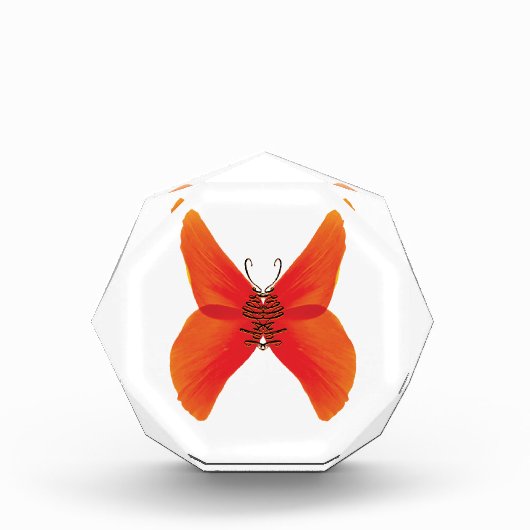 Orange Red Poppy Butterfly mit Ihrem Namen Fotoblock (Vorderseite)