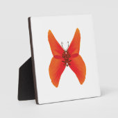 Orange Red Poppy Butterfly mit Ihrem Namen Fotoplatte (Vorderseite)