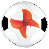 Orange Red Poppy Butterfly mit Ihrem Namen Fußball (Gedreht)