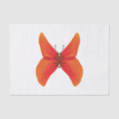 Orange Red Poppy Butterfly mit Ihrem Namen Seidenpapier (Vorderseite)