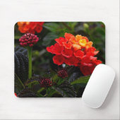 Orange Red Trailing Lantana #1-2 Mouse Pad Mousepad (Mit Mouse)