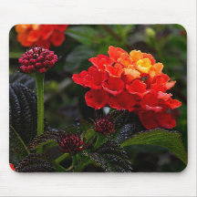 Orange Red Trailing Lantana #1-2 Mouse Pad