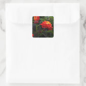 Orange Red Trailing Lantana #1-2 Stickers (Tasche)