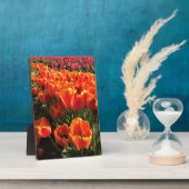 Orange & Red Tulips Fotoplatte (Seite)