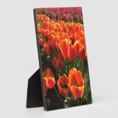 Orange & Red Tulips Fotoplatte (Seite)