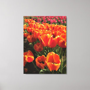 Orange & Red Tulips Leinwanddruck