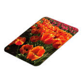 Orange & Red Tulips Magnet (Linke Seite)