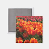Orange & Red Tulips Magnet (Vorderseite/Rückseite)