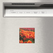 Orange & Red Tulips Magnet (In Situ (Geschirrspüler))