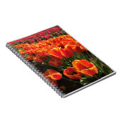 Orange & Red Tulips Notizblock (Rechte Seite)