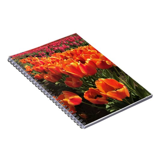 Orange & Red Tulips Notizblock (Rechte Seite)