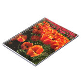 Orange & Red Tulips Notizblock (Linke Seite)