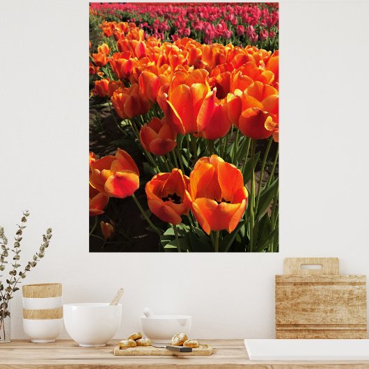Orange & Red Tulips Poster (Küche)