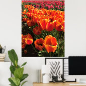 Orange & Red Tulips Poster (Heimbüro)