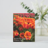 Orange & Red Tulips Postkarte (Stehend Vorderseite)