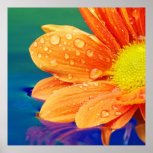 Orange Regentropfen-Fotografie-Plakat Poster