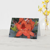 Orange Rhododendron Card Karte (Gelbe Blume)