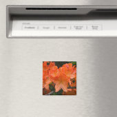 Orange Rhododendron Flower Magnet (In Situ (Geschirrspüler))