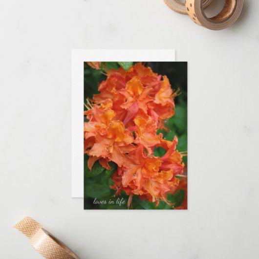 Orange Rhododendron Mitteilungskarte (Vorderseite/Rückseite Beispiel)
