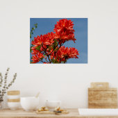 ‚Orange Rhododendron‘ Poster (Küche)