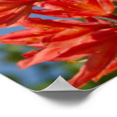 ‚Orange Rhododendron‘ Poster (Ecke)