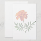 Orange Ringelblume Briefpapier (Vorne/Hinten)