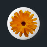 Orange Ringelblume Button<br><div class="desc">Ein attraktiver Single orange Ringelblumenmotiv.</div>