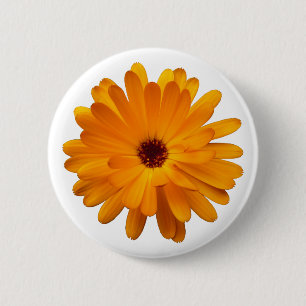 Orange Ringelblume Button