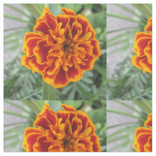 Orange Ringelblumen-Blume Stoff