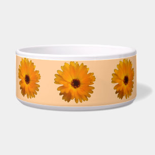 Orange Ringelblumen-Hundeschüssel Napf