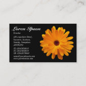 Orange Ringelblumen-Schwarzes Visitenkarte (Rückseite)