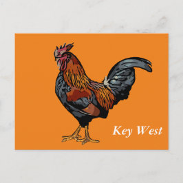 Orange Rooster Key West Post Card Postkarte