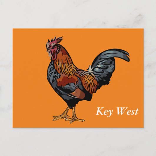Orange Rooster Key West Post Card Postkarte (Vorderseite)