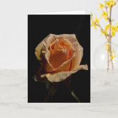 Orange Rose 1 Karte (Gelbe Blume)