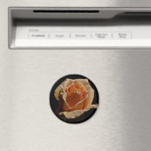 Orange Rose 1 Magnet (In Situ (Geschirrspüler))