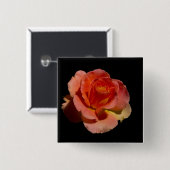 Orange Rose 2 Button (Vorne & Hinten)