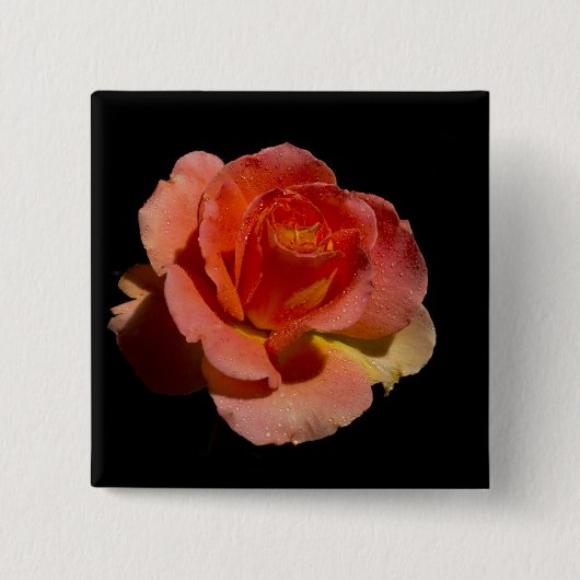 Orange Rose 2 Button (Vorderseite)