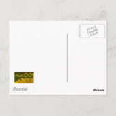 Orange Rose 2 Postkarte (Rückseite)