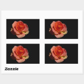 Orange Rose 2 Rechteckiger Aufkleber (Blatt)