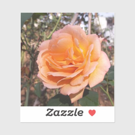 Orange Rose Aufkleber (Blatt)