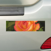 Orange Rose Autoaufkleber (Auf Auto)