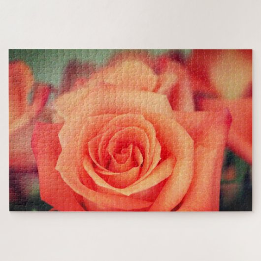 Orange Rose blüht Puzzle (Horizontal)