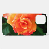 Orange Rose Blume Case-Mate iPhone Hülle (Rückseite (Horizontal))