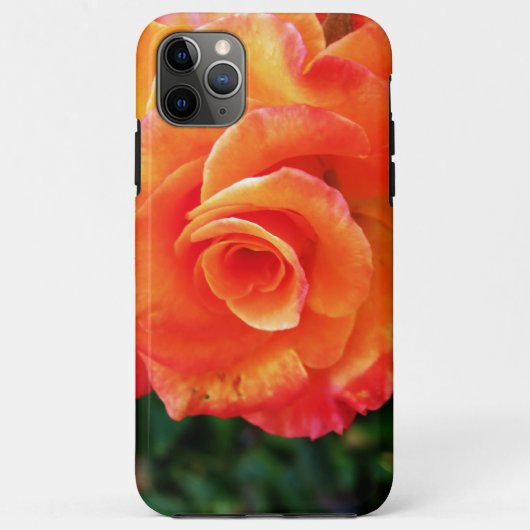 Orange Rose Blume Case-Mate iPhone Hülle (Rückseite)