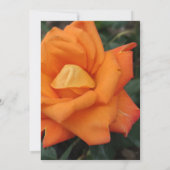 Orange Rose Blume Einladung (Rückseite)
