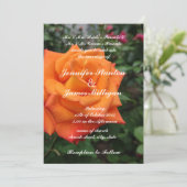 Orange Rose Blume Einladung (Stehend Vorderseite)