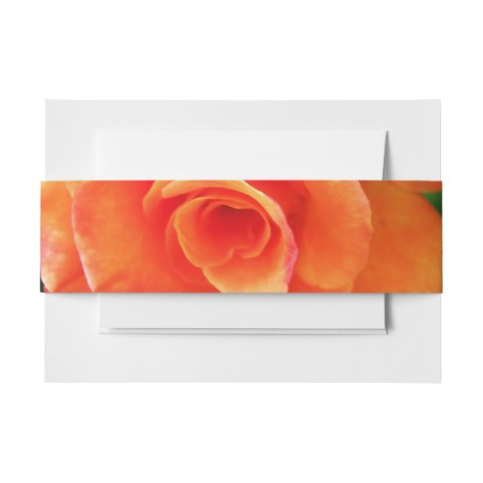 Orange Rose Blume Einladungsbanderole (Vorderseite Beispiel)