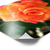 Orange Rose Blume Fotodruck (Ecke)
