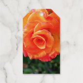Orange Rose Blume Geschenkanhänger (Rückseite)